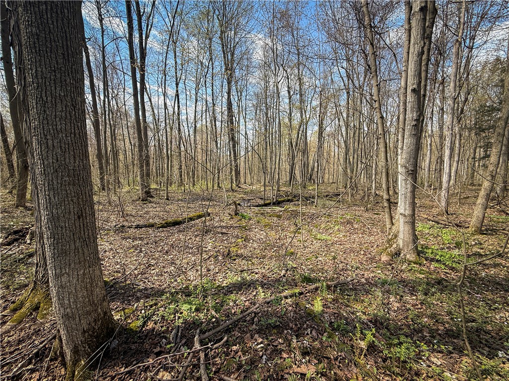 888 Fintches Corners Road Martville, NY 13111 - Photo 27 of 48