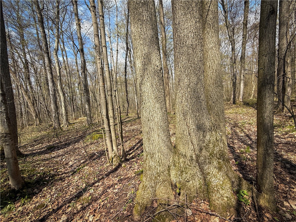 888 Fintches Corners Road Martville, NY 13111 - Photo 28 of 48