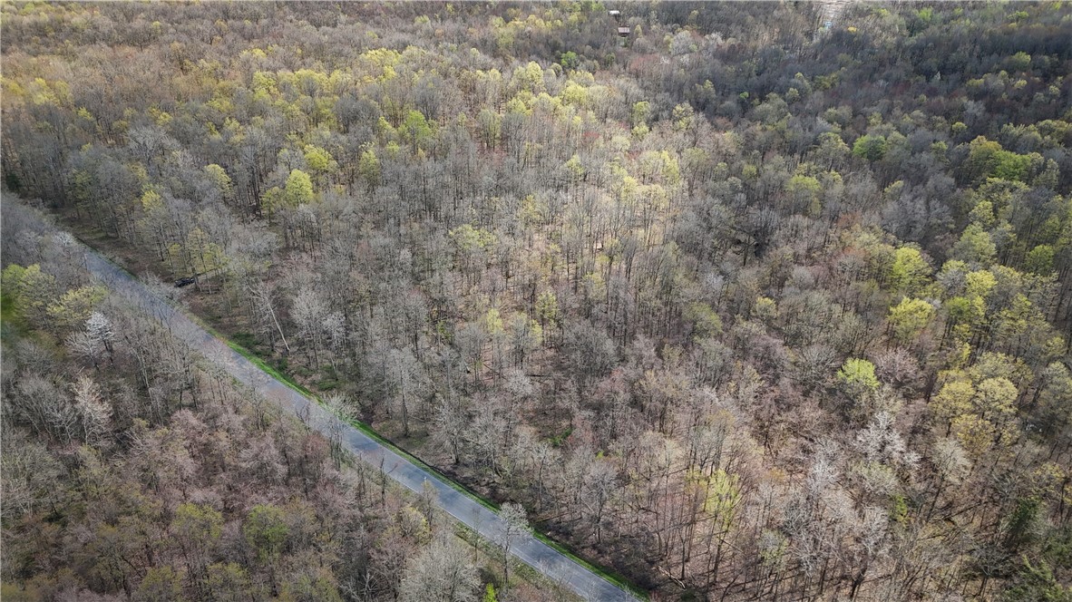 888 Fintches Corners Road Martville, NY 13111 - Photo 3 of 48