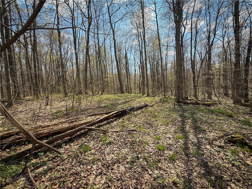 888 Fintches Corners Road Martville, NY 13111 - Photo 31 of 48