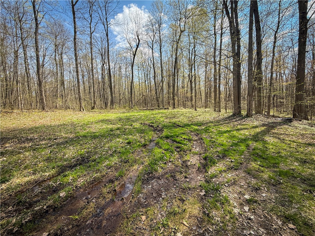 888 Fintches Corners Road Martville, NY 13111 - Photo 32 of 48