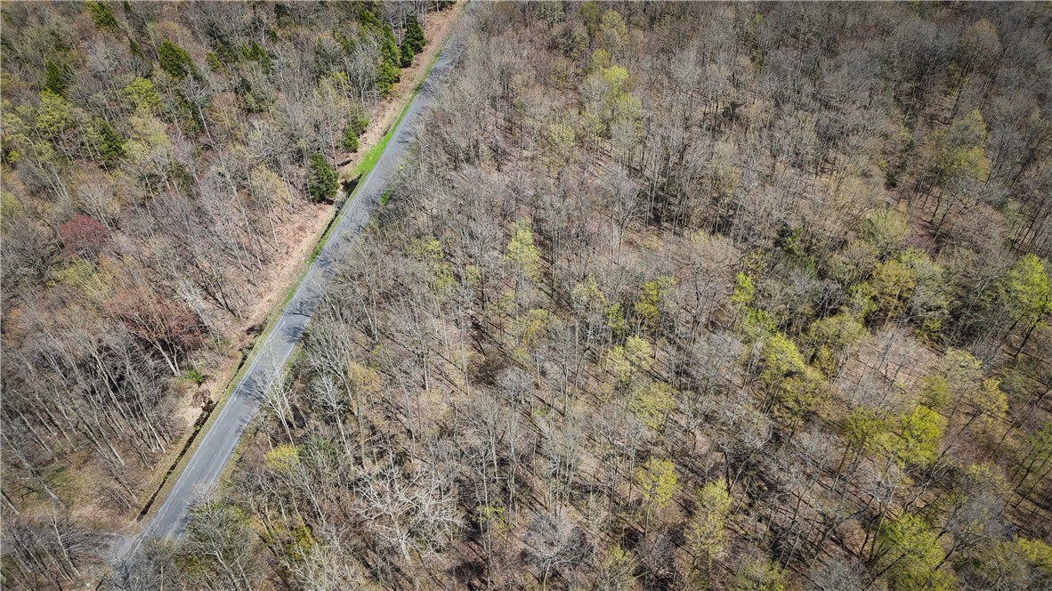 888 Fintches Corners Road Martville, NY 13111 - Photo 33 of 48