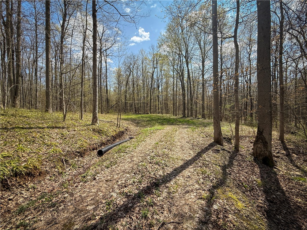 888 Fintches Corners Road Martville, NY 13111 - Photo 36 of 48