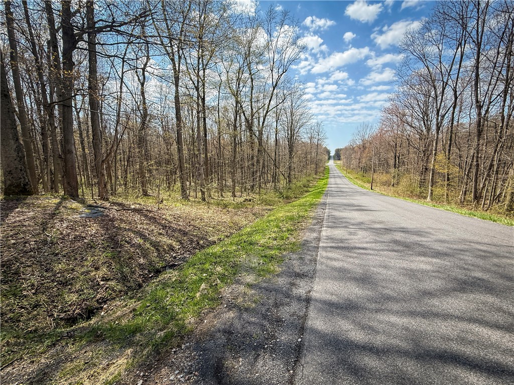 888 Fintches Corners Road Martville, NY 13111 - Photo 37 of 48