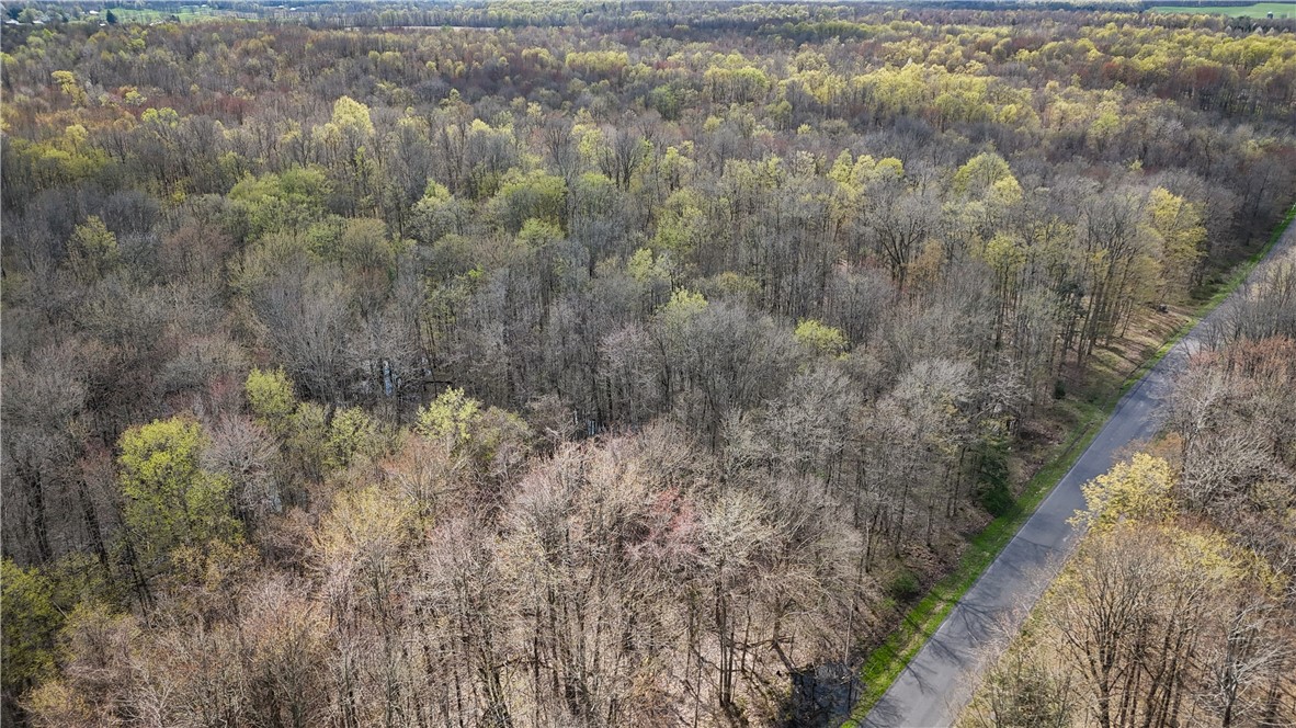888 Fintches Corners Road Martville, NY 13111 - Photo 38 of 48