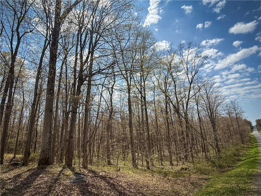 888 Fintches Corners Road Martville, NY 13111 - Photo 40 of 48