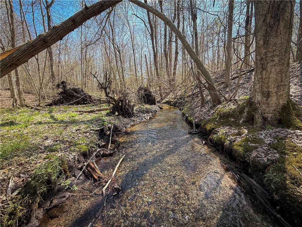 888 Fintches Corners Road Martville, NY 13111 - Photo 4 of 48