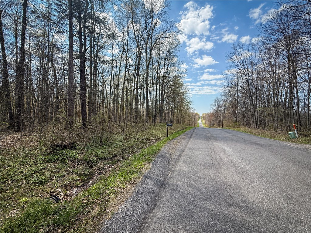 888 Fintches Corners Road Martville, NY 13111 - Photo 41 of 48
