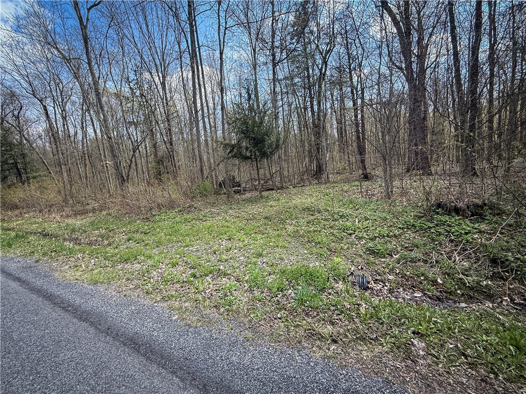 888 Fintches Corners Road Martville, NY 13111 - Photo 42 of 48