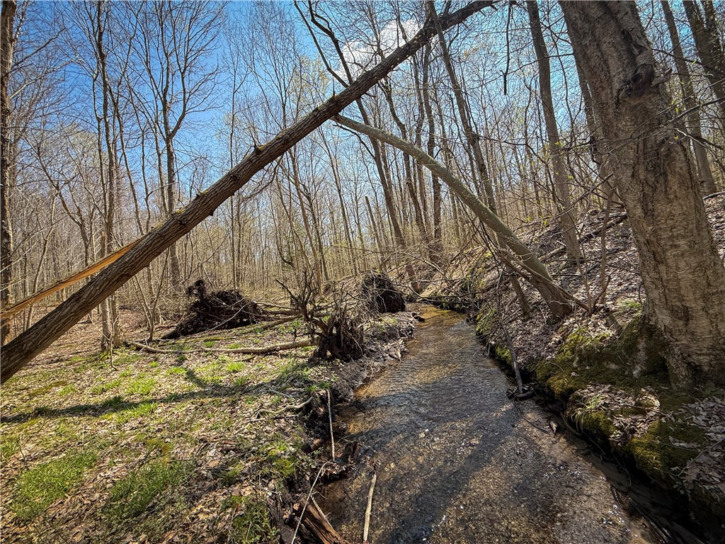 888 Fintches Corners Road Martville, NY 13111 - Photo 5 of 48