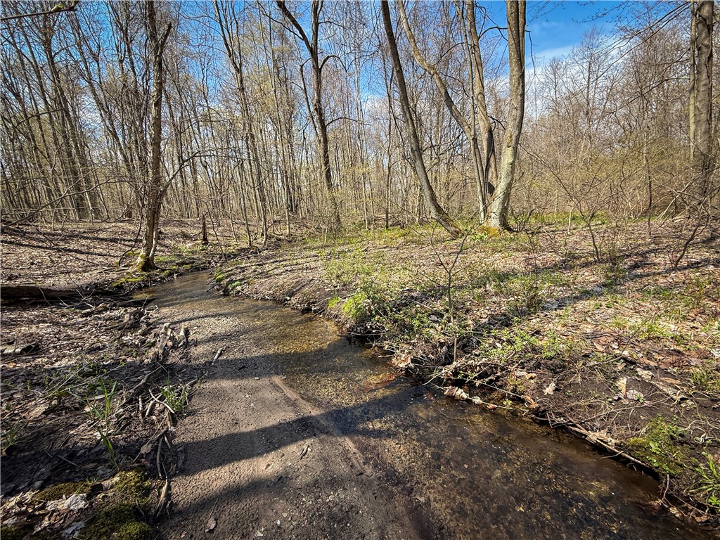 888 Fintches Corners Road Martville, NY 13111 - Photo 6 of 48