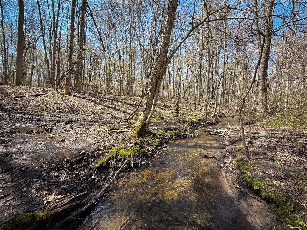 888 Fintches Corners Road Martville, NY 13111 - Photo 7 of 48