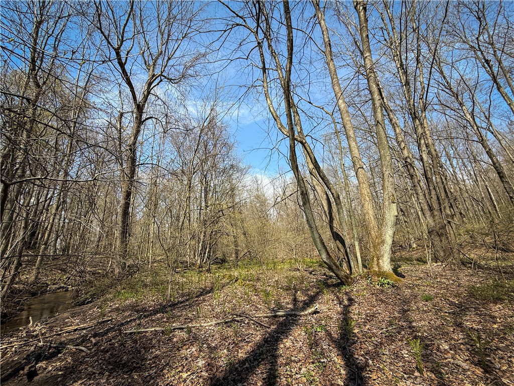 888 Fintches Corners Road Martville, NY 13111 - Photo 8 of 48