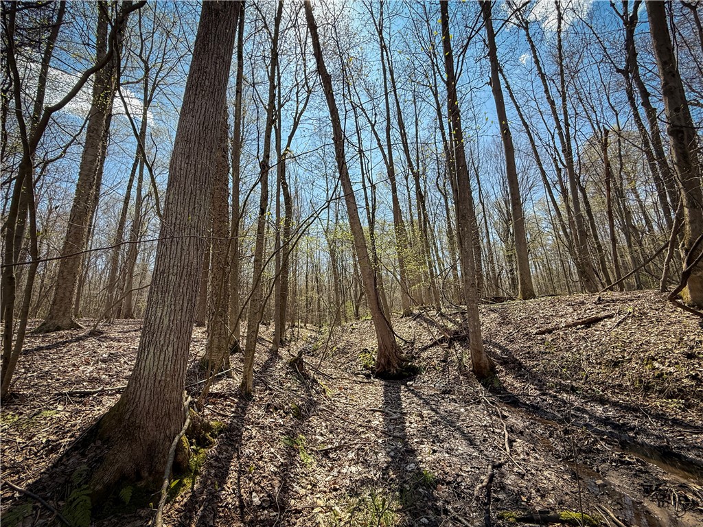 888 Fintches Corners Road Martville, NY 13111 - Photo 9 of 48
