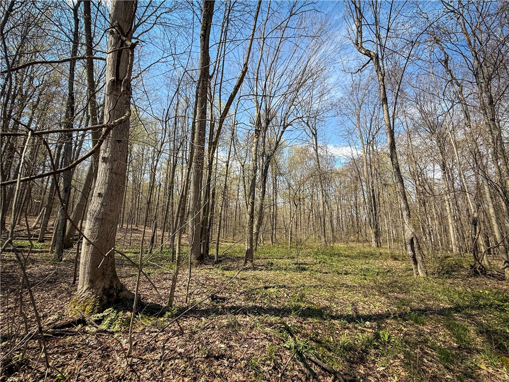 888 Fintches Corners Road Martville, NY 13111 - Photo 10 of 48