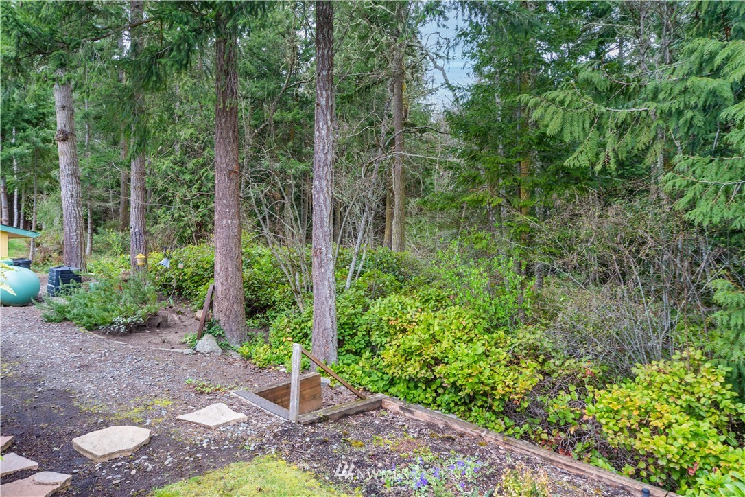 364 Port Hadlock Heights Road Port Hadlock, WA 98339 - Photo 29 of 30 a view of a garden with plants and large trees