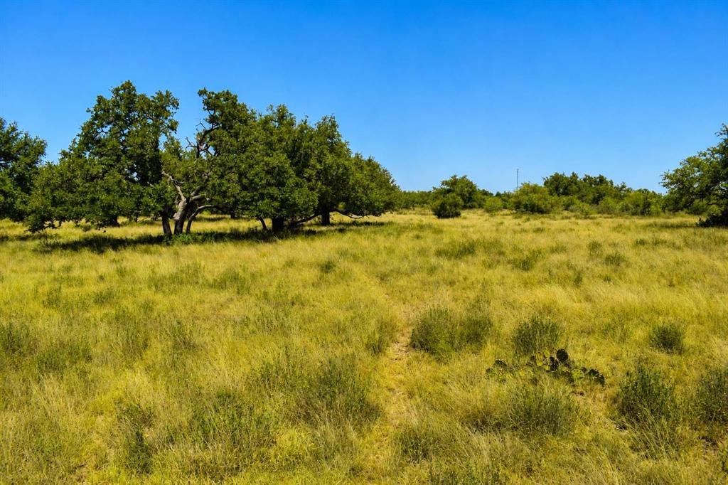 129 Big Buck Run Road Fort McKavett, TX 76841 - Photo 18 of 21 Gallery Image 18