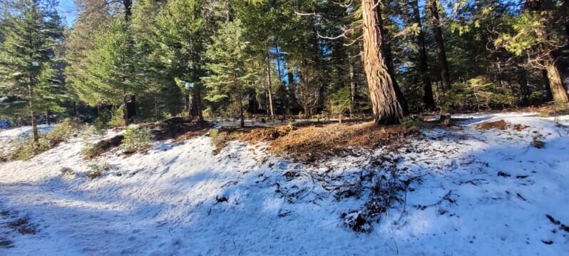 0 Audubon Road Mount Shasta, CA 96067 - Photo 3 of 13 Audubon Rd, lot - Timber Hills