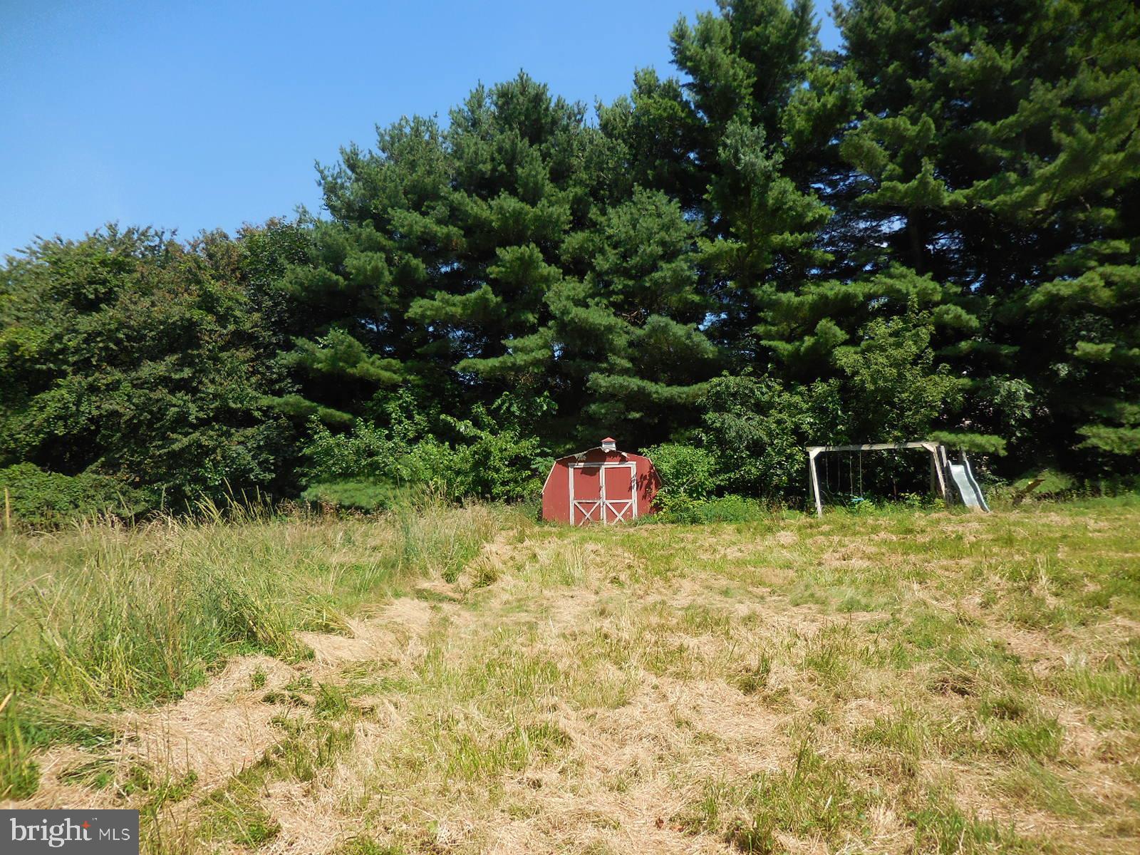 311 Millard Road Elverson, PA 19520 - Photo 4 of 20 Back Yard
