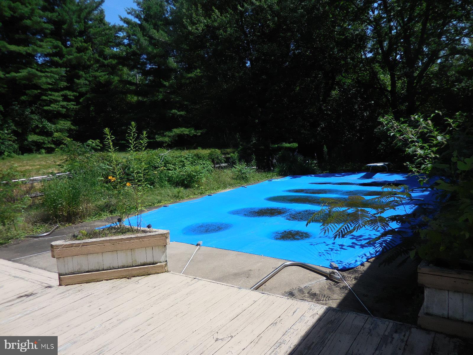 311 Millard Road Elverson, PA 19520 - Photo 6 of 20 Swimming Pool