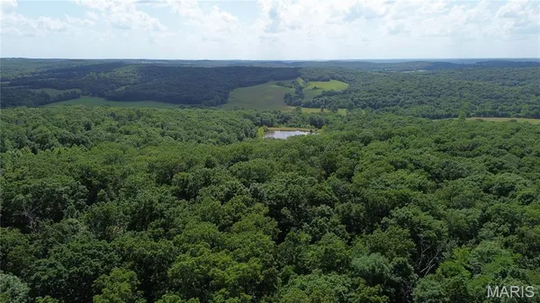 $9,999 | Lot #8 Anthonies Mill Road, Bourbon, MO 65441