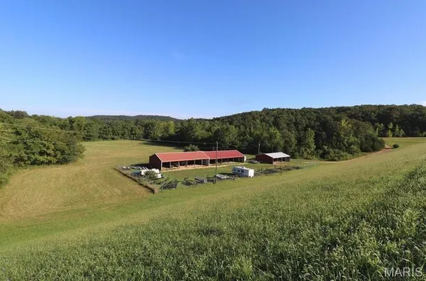 $9,999 | Lot #8 Anthonies Mill Road, Bourbon, MO 65441
