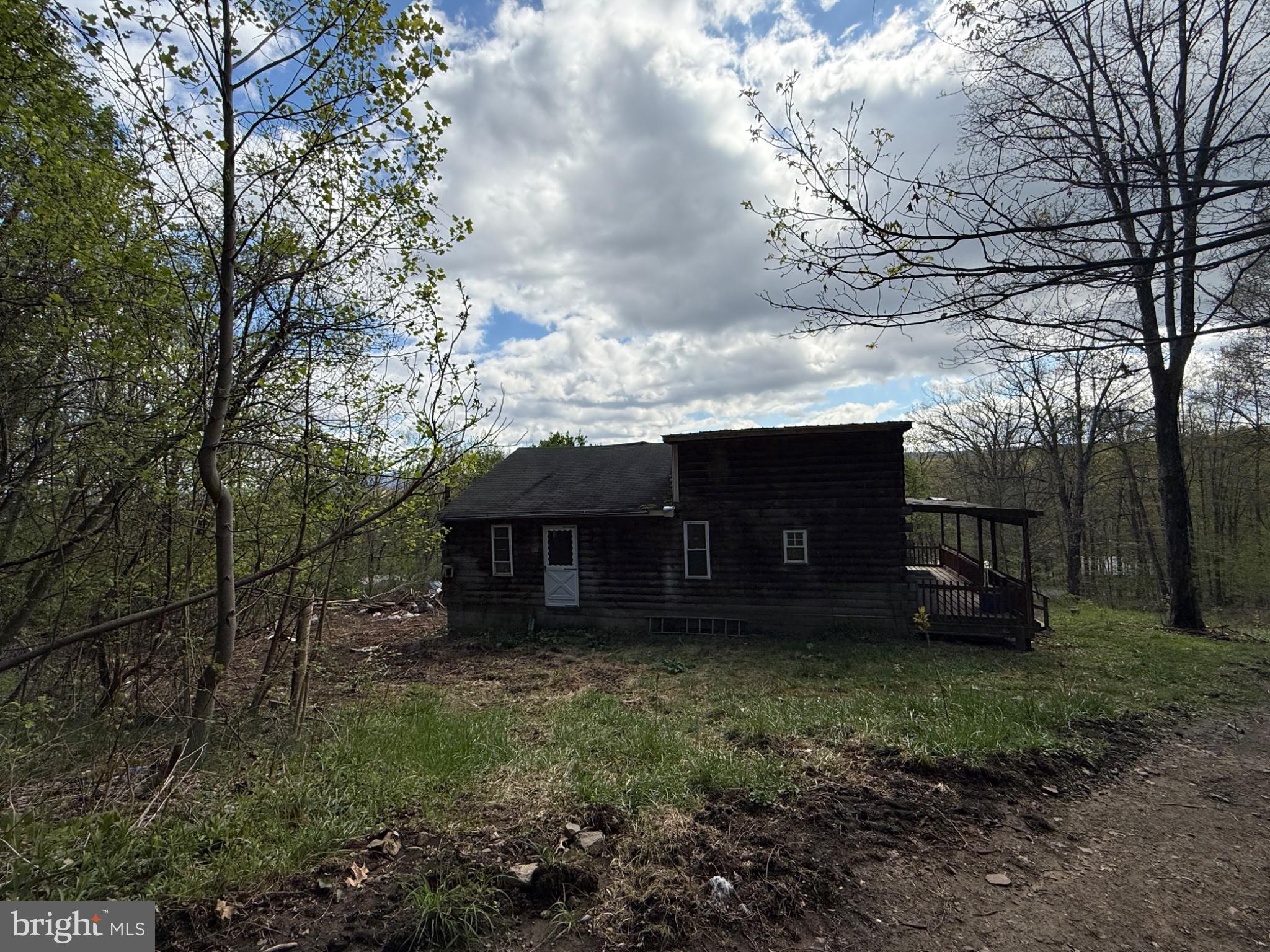 15232 Wrangletown Road Mount Union, PA 17066 - Photo 10 of 92 Charming cabin nestled in nature's embrace.