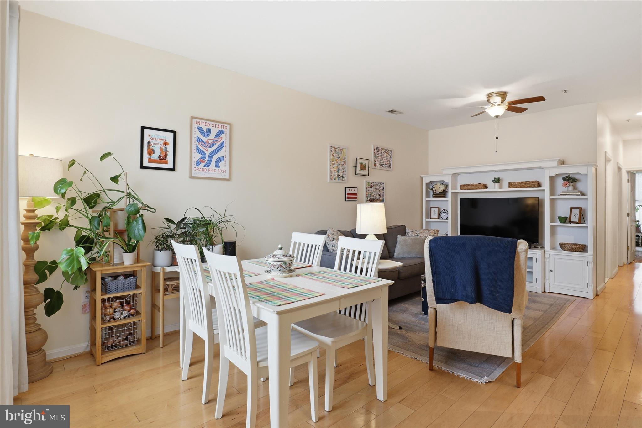 257 14th Street Southeast, Unit B Washington, DC 20003 - Photo 2 of 23 Living and Dining combo