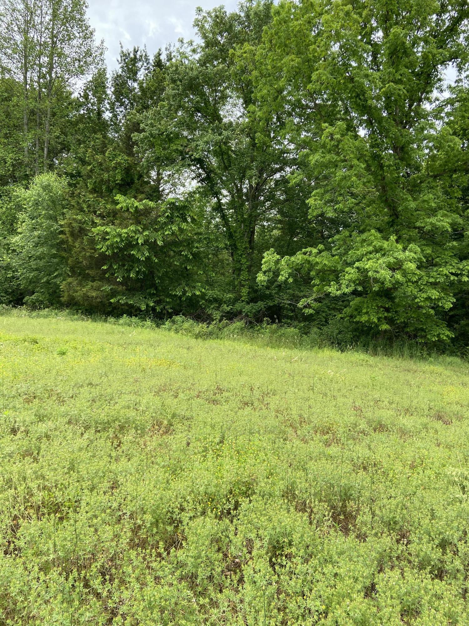 123 South Fork Ridge Road Liberty, KY 42539 - Photo 8 of 28 F21565BD-6EC5-4E1F-8436-EF40DD206916<|>P