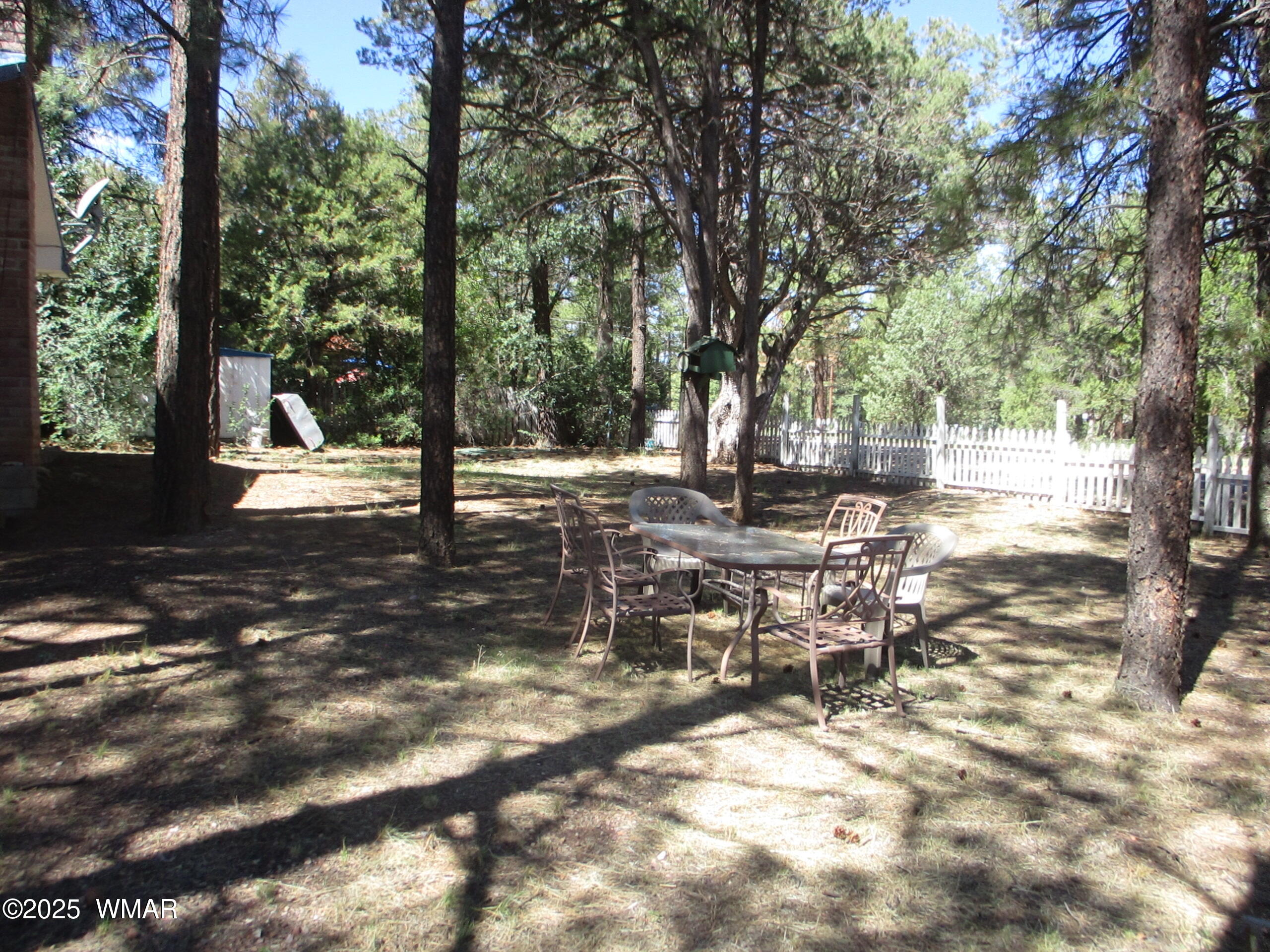2896 Verde Road Overgaard, AZ 85933 - Photo 2 of 16 Side Yard