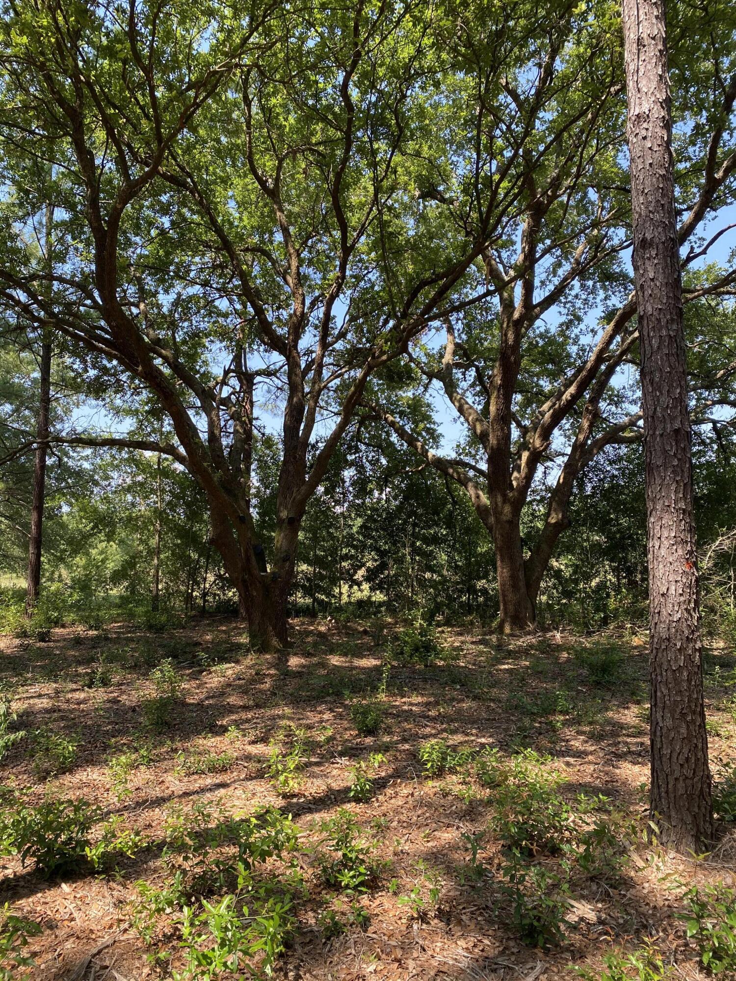9089 Hay Meadow Road Milton, FL 32583 - Photo 5 of 8 IMG_0738