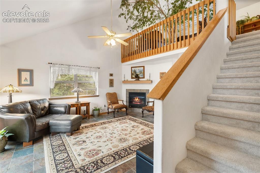 996 Spring Valley Drive Divide, CO 80814 - Photo 10 of 47