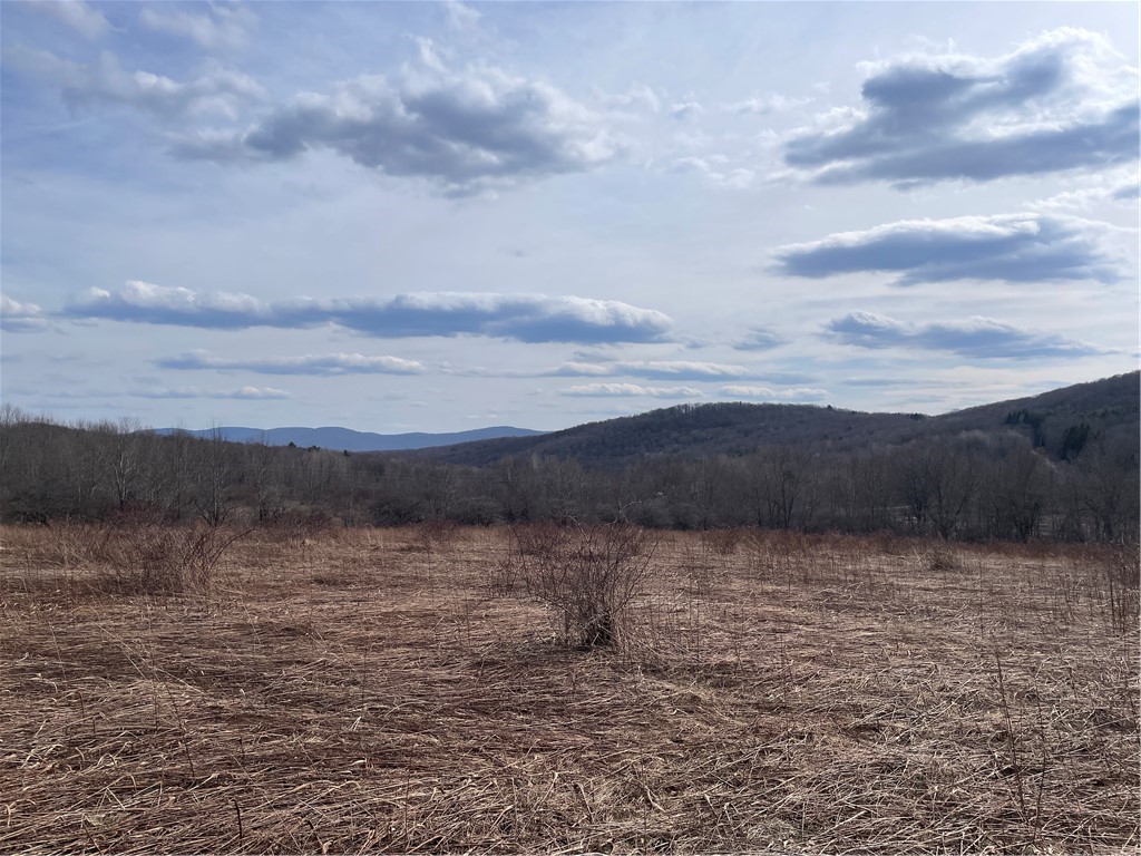 0 Swantak Road Bloomville, NY 13739 - Photo 11 of 12