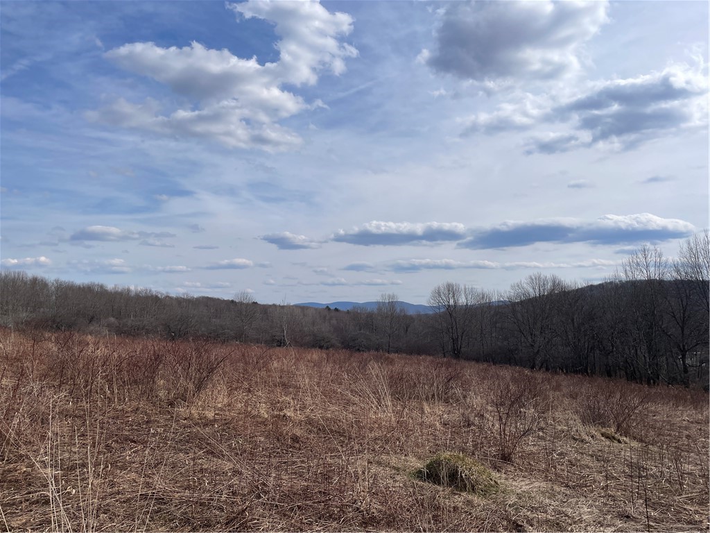 0 Swantak Road Bloomville, NY 13739 - Photo 2 of 12