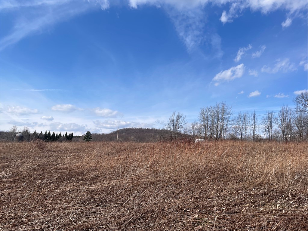 0 Swantak Road Bloomville, NY 13739 - Photo 3 of 12