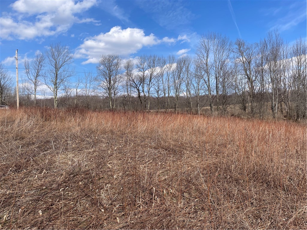 0 Swantak Road Bloomville, NY 13739 - Photo 4 of 12