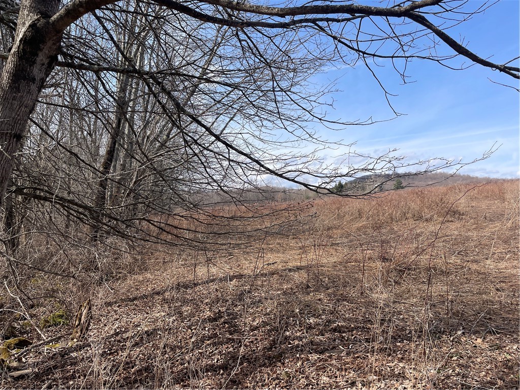 0 Swantak Road Bloomville, NY 13739 - Photo 5 of 12