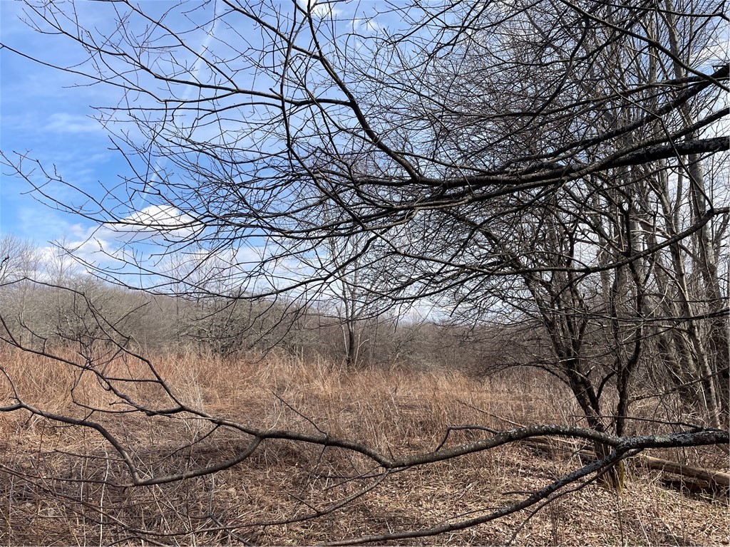 0 Swantak Road Bloomville, NY 13739 - Photo 6 of 12