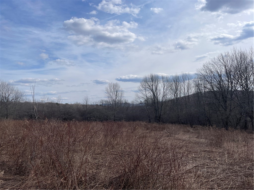 0 Swantak Road Bloomville, NY 13739 - Photo 7 of 12