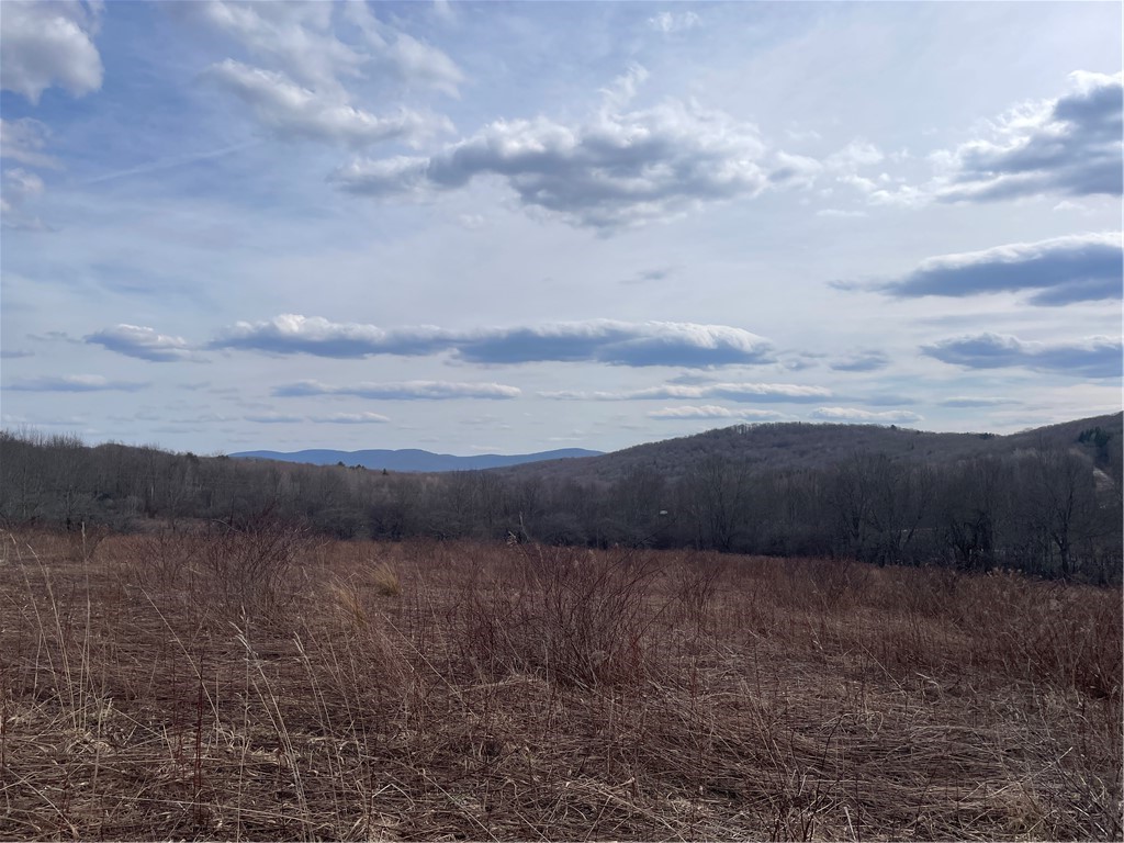 0 Swantak Road Bloomville, NY 13739 - Photo 8 of 12