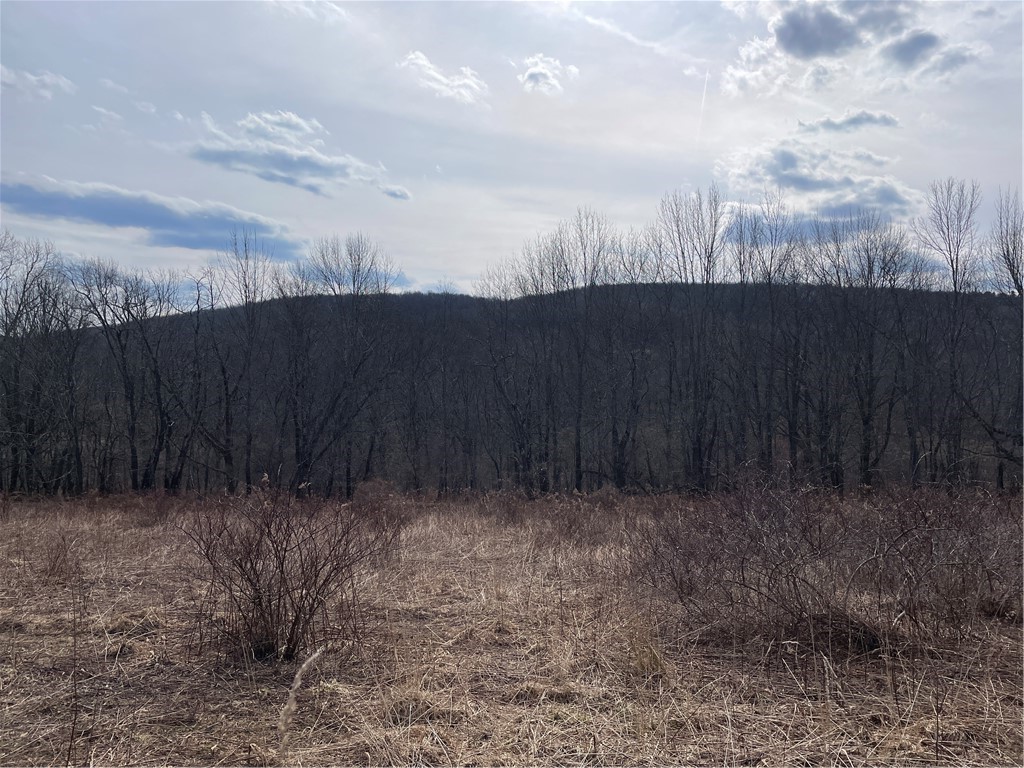 0 Swantak Road Bloomville, NY 13739 - Photo 9 of 12