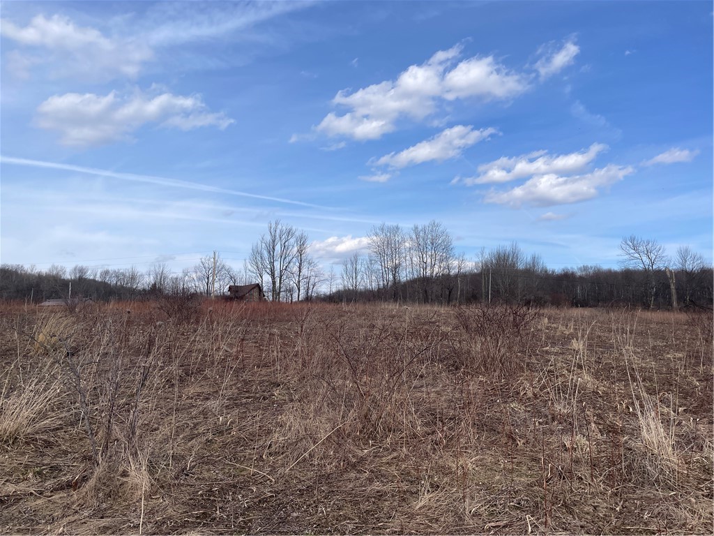 0 Swantak Road Bloomville, NY 13739 - Photo 10 of 12