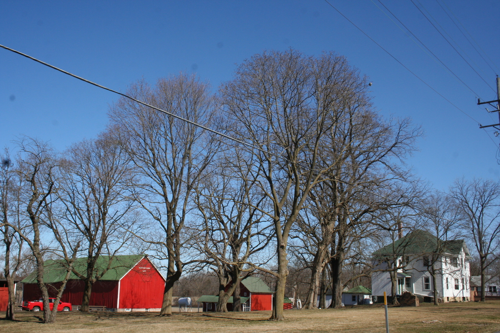 662 2nd Street Crete, IL 60417 - Photo 35 of 39 Gallery Image 35