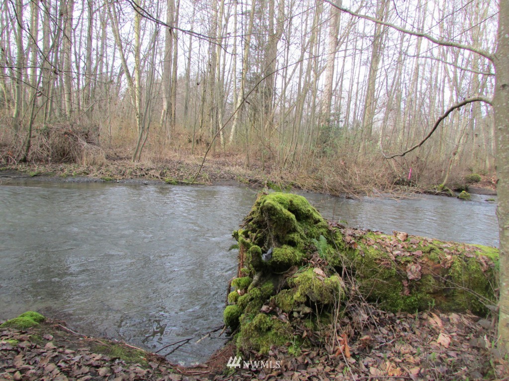 9999 Head Gate Road Sequim, WA 98382 - Photo 11 of 13