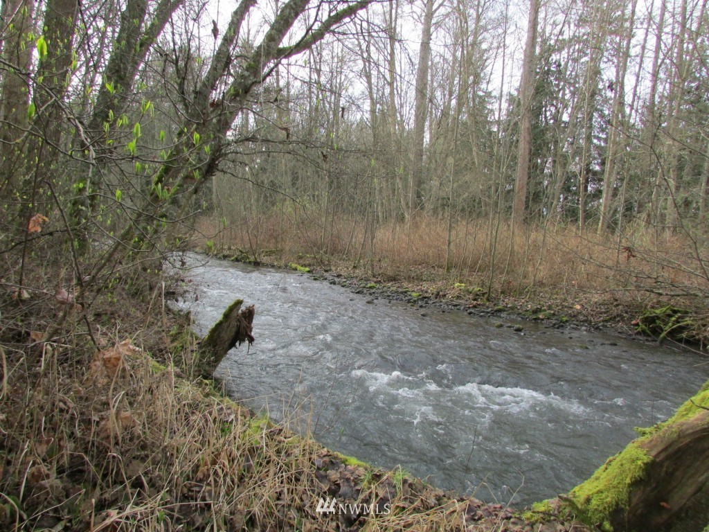 9999 Head Gate Road Sequim, WA 98382 - Photo 13 of 13