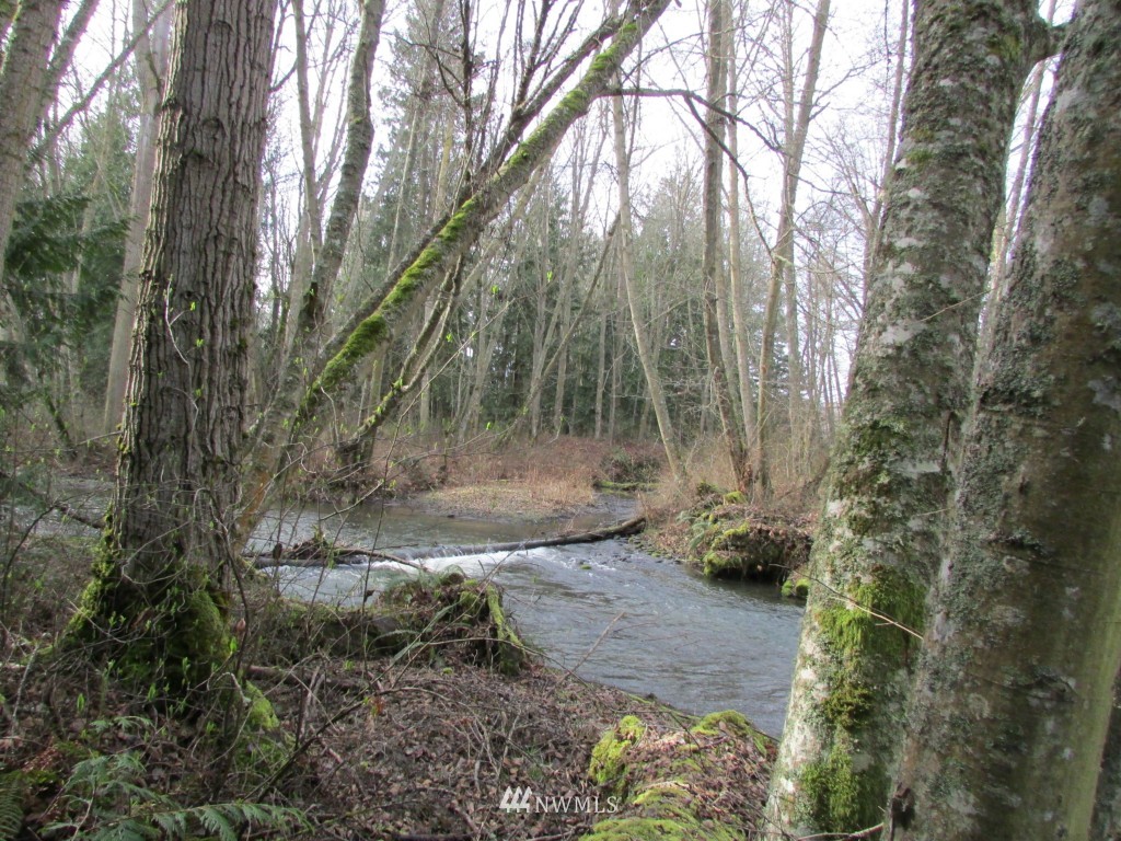 9999 Head Gate Road Sequim, WA 98382 - Photo 6 of 13