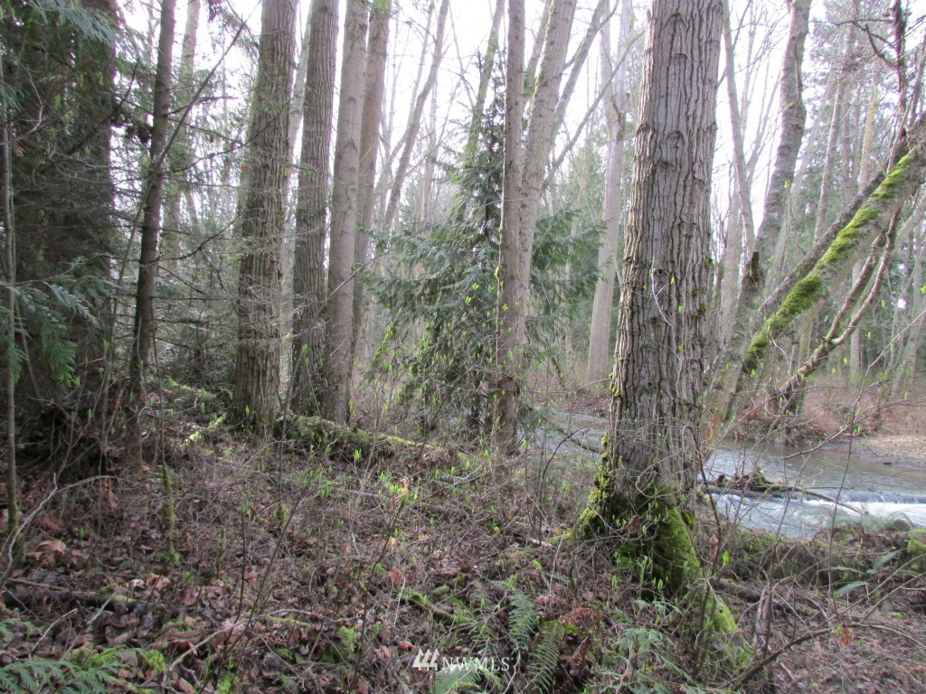 9999 Head Gate Road Sequim, WA 98382 - Photo 7 of 13