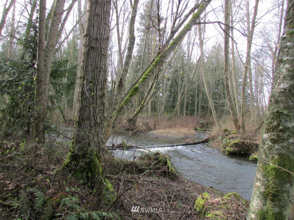 9999 Head Gate Road Sequim, WA 98382 - Photo 9 of 13