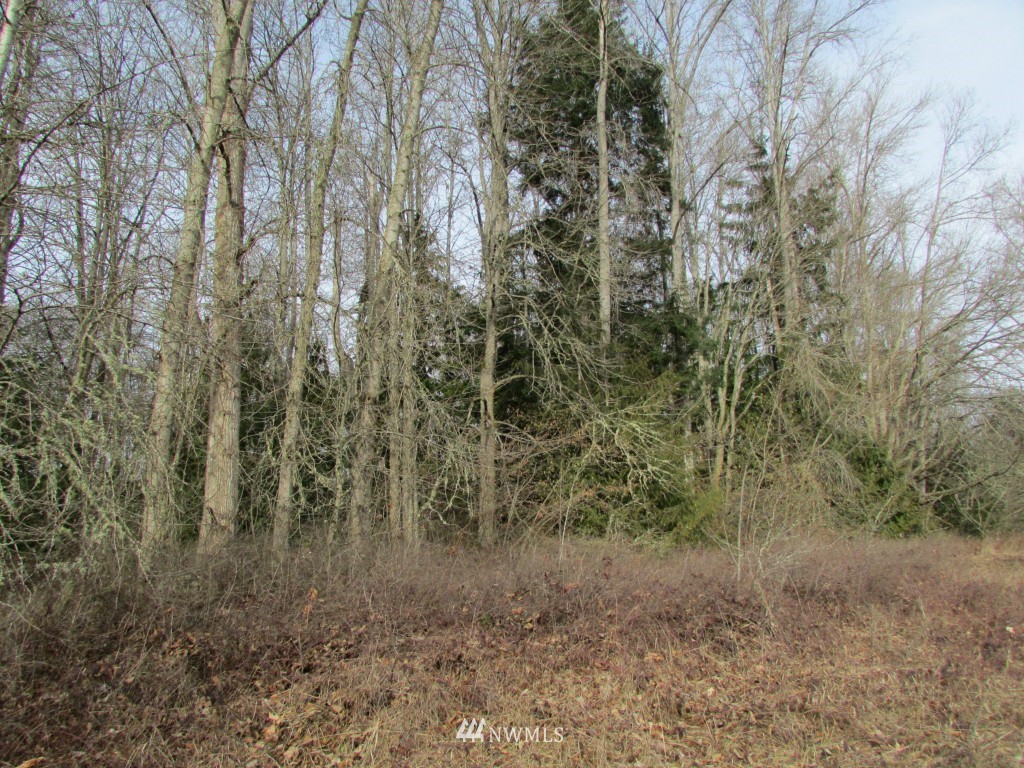 9999 Head Gate Road Sequim, WA 98382 - Photo 10 of 13