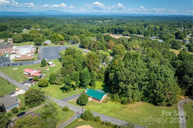 a view of a garden with a flower in a garden
